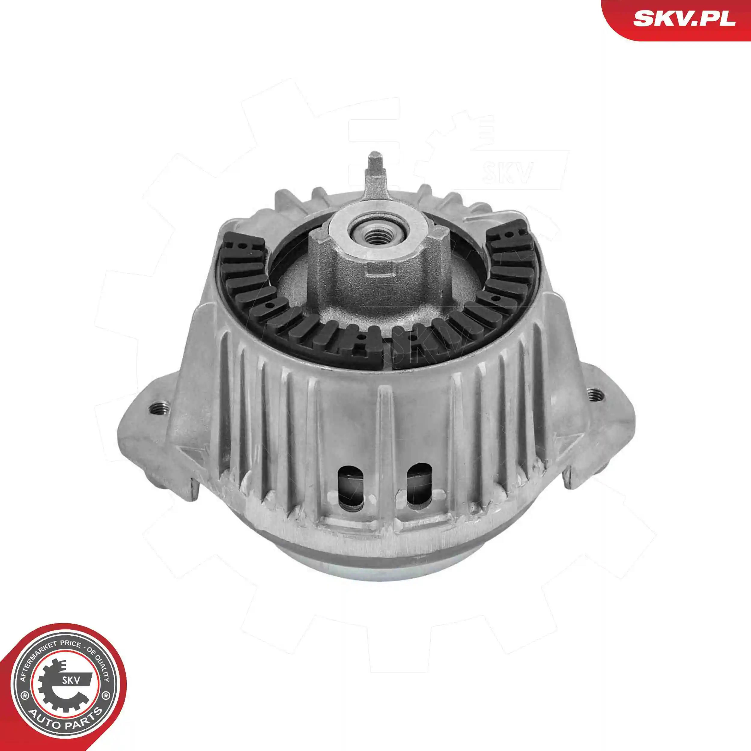 Mounting, engine